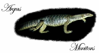 Argus monitors (link)