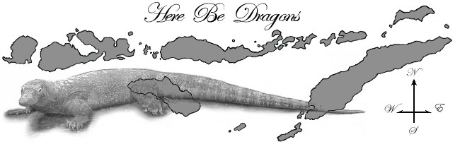 Here Be Dragons