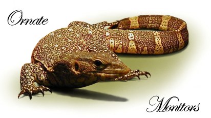 Ornate monitors (link)